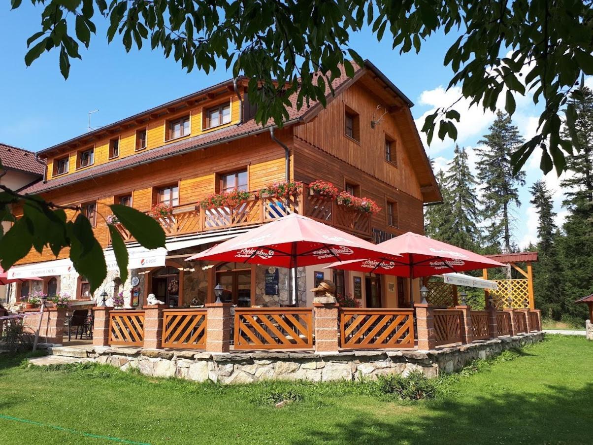 Penzion Planicka Černá v Pošumaví Extérieur photo